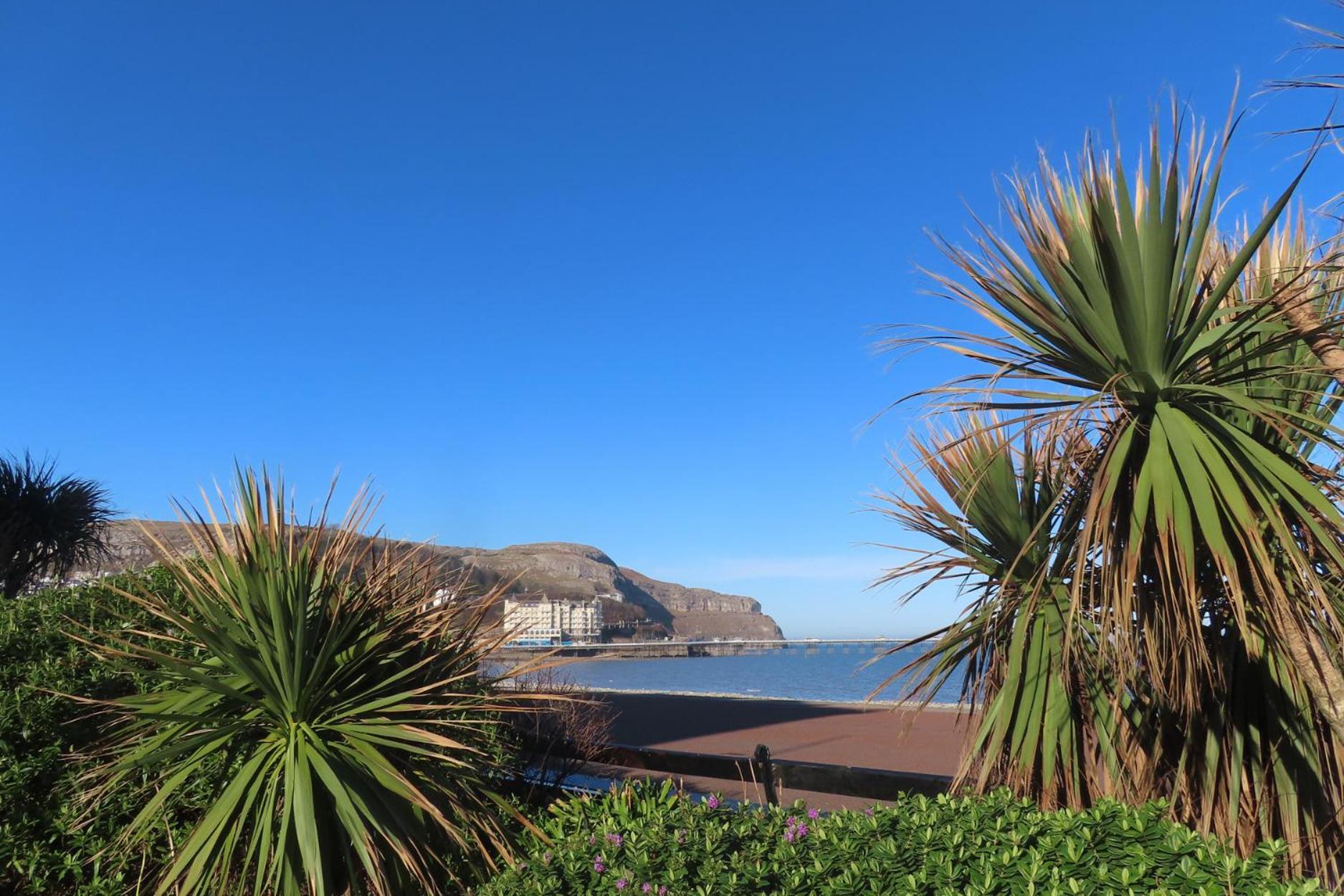 Noah'S Rest Vila Llandudno Exterior foto